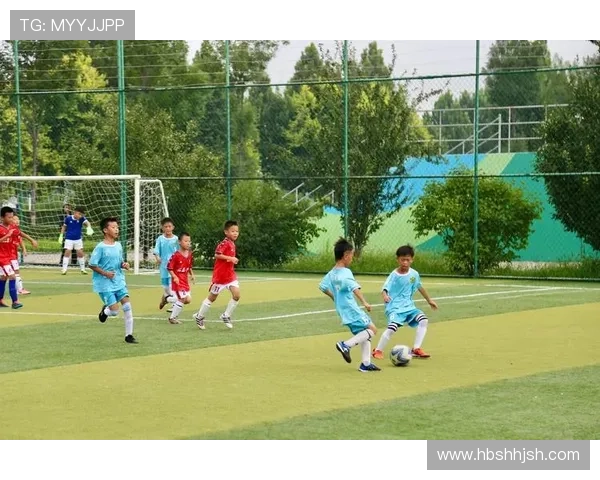 从绿茵场到文化交流被汉化的足球明星们的故事与影响