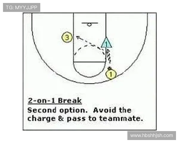 杭州羽毛球队快攻战术分析与比赛表现的得失总结 杭州羽毛球队快攻战术分析与比赛表现的得失总结